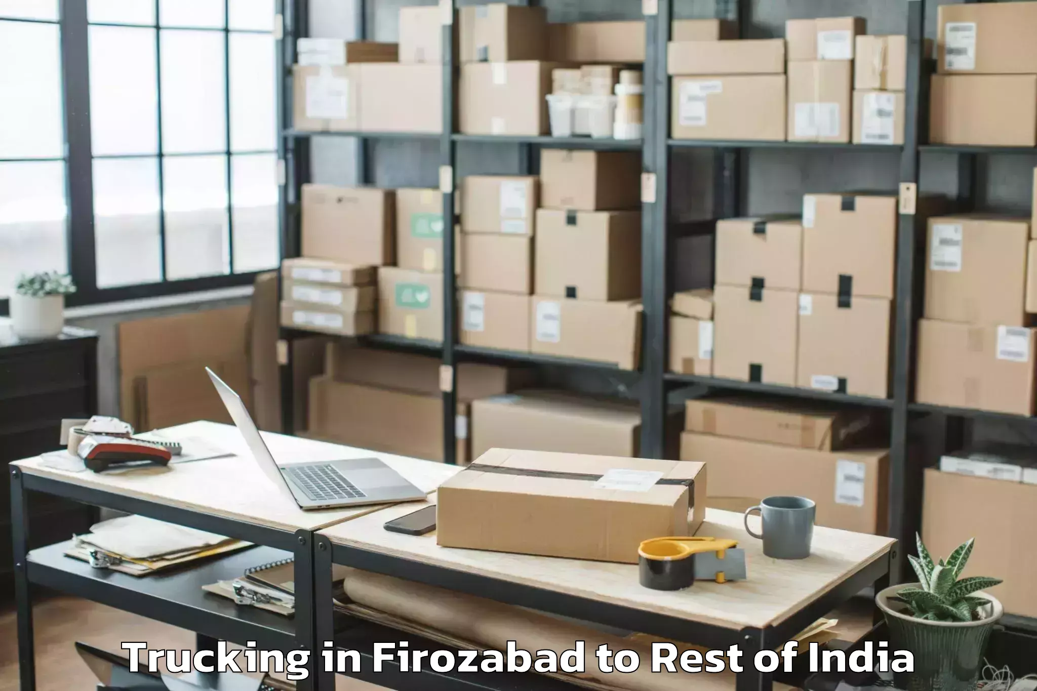 Quality Firozabad to Dooru Trucking